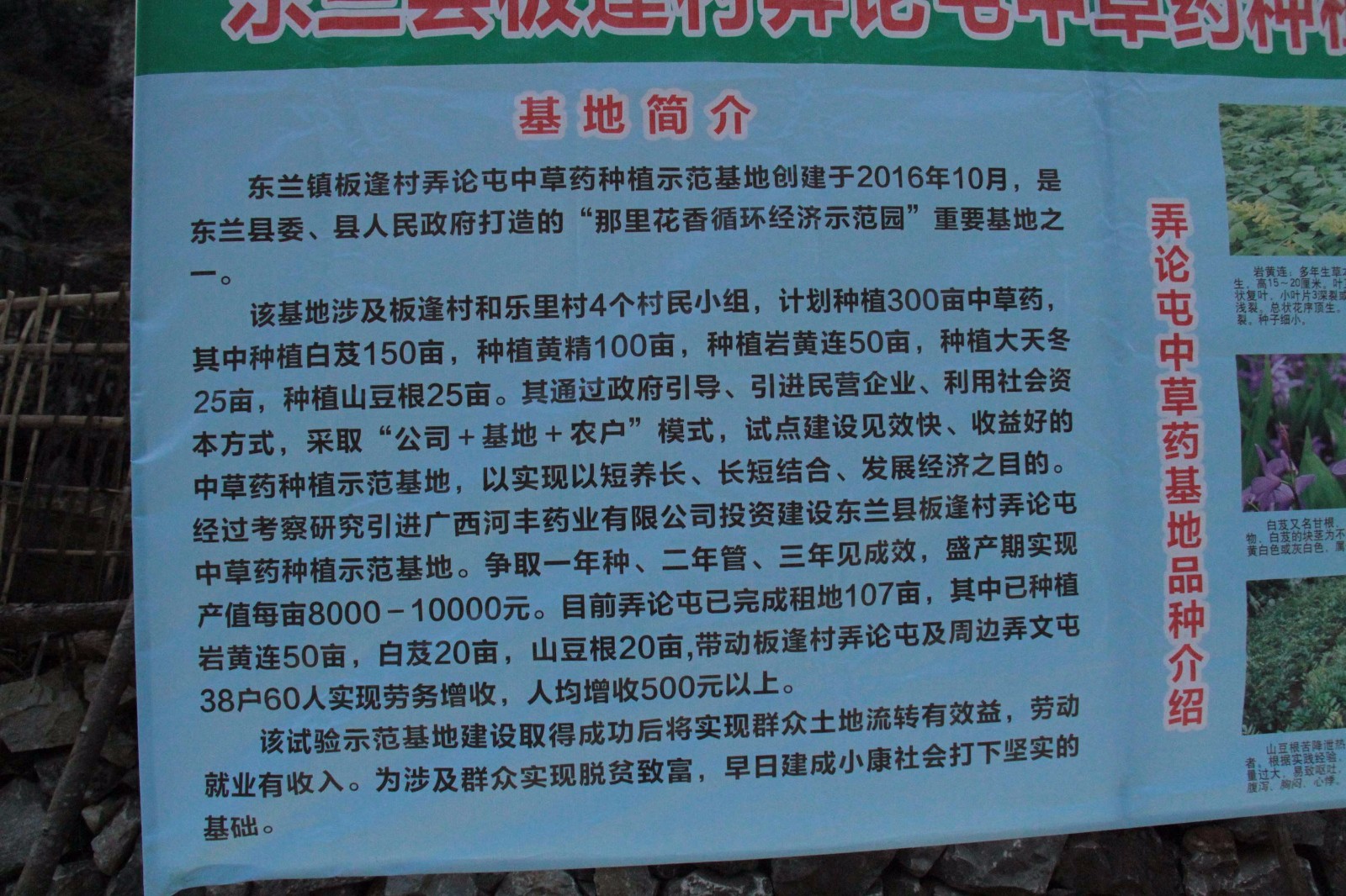 QQ图片20170203160303.jpg